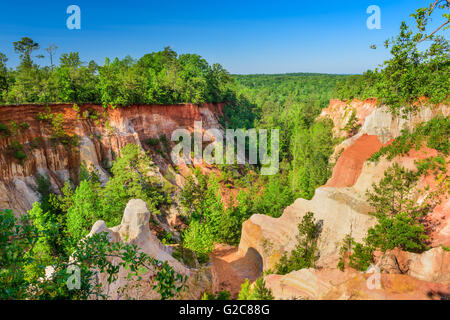 Providence Canyon im Südwesten von Georgia, USA. Stockfoto