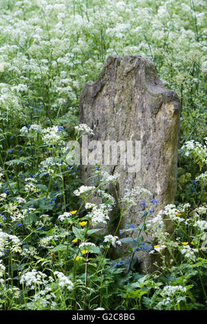 Beschädigt und alte Gräber und Grabsteine im alten Beerdigung Boden gefallen Stockfoto