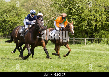 Rennpferde springen Bürste Zäune bei einem lokalen Punkt-zu-Punkt-treffen Stockfoto