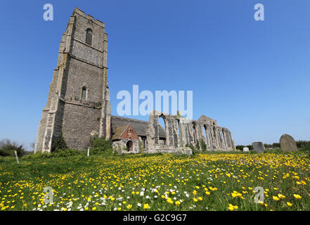 Butterblumen und Gänseblümchen auf dem Friedhof von St. Andrews Church, Covehithe, Suffolk, England, UK. Stockfoto