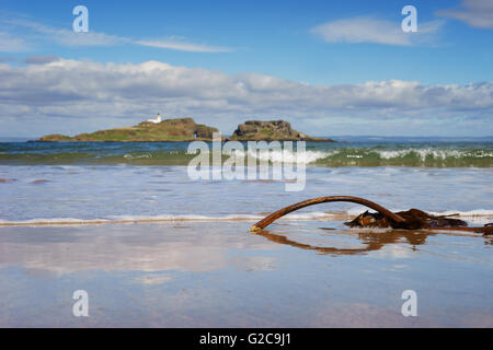 Fidra-Insel und dem Leuchtturm von Yellowcraig Strand, East Lothian, Schottland. Stockfoto