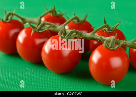 Tomaten an den Rebstöcken gezeigt auf einer grünen Schneidebrett, die richtige Farbe für Lebensmittelhygiene Stockfoto