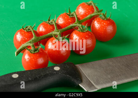 Tomaten an den Rebstöcken gezeigt auf einer grünen Schneidebrett, die richtige Farbe für Lebensmittelhygiene Stockfoto