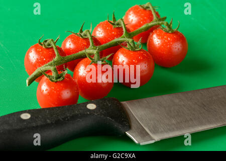 Tomaten an den Rebstöcken gezeigt auf einer grünen Schneidebrett, die richtige Farbe für Lebensmittelhygiene Stockfoto