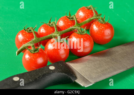 Tomaten an den Rebstöcken gezeigt auf einer grünen Schneidebrett, die richtige Farbe für Lebensmittelhygiene Stockfoto