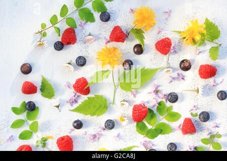 Schönen Sommer / Frühling Hintergrund mit frischen Blüten und Blätter auf weiß Stockfoto