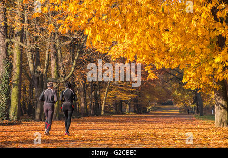 Herbst-Park-Aktivität Stockfoto