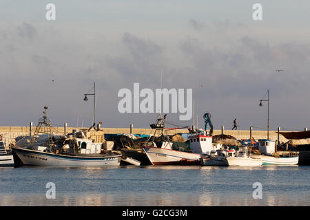 Am Abend Sonnenlicht auf Angelboote/Fischerboote vertäut im Hafen von Estepona, Andalusien, Spanien-Europa Stockfoto