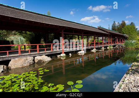 Japanischer Garten, Nantes, Pays De La Loire, Frankreich Stockfoto