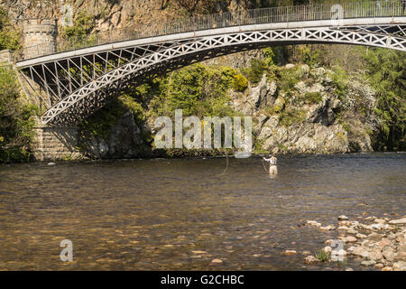 Craigellachie Brücke über den River Spey in Craigellachie. Stockfoto