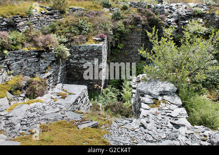 Bryn Eglwys aufgegeben remote Schieferbergwerk Abergynolwyn in Gwynedd, Wales in der Nähe. Stockfoto