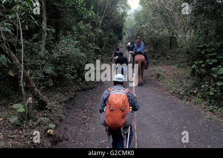 Menschen auf ihrem Weg zum Pacaya ein komplexer Vulkan im Departamento Escuintla. Guatemala. Stockfoto