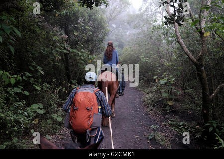 Eine weibliche Wanderer montiert auf einem Pferd auf ihrem Weg zum Pacaya einen komplexeren Vulkan im Departamento Escuintla. Guatemala. Stockfoto