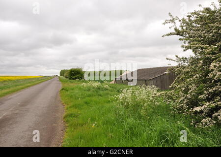 Östlich von Thorpe Tilney Blick nach Osten von OS Gitter 133578 in Witham Tal Lincolnshire Fens Großbritannien suchen Stockfoto