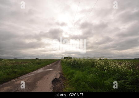 Östlich von North Kyme Blick nach Osten von OS Gitter 160525, Lincolnshire Venn Stockfoto