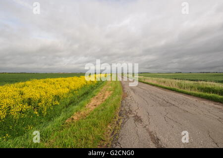 Östlich von North Kyme Blick nach Norden vom OS Gitter 173522, Lincolnshire Venn Stockfoto