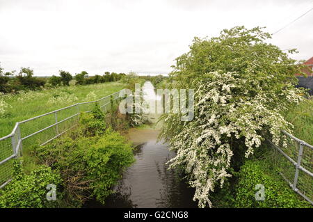 Hagnaby Schloss, Venn Lincolnshire UK Stockfoto