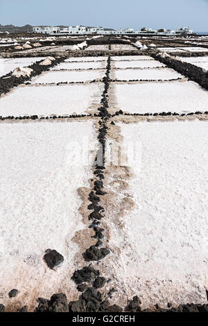 Pfannen, Salinas de Los Agujeros, Salz Los Cocoteros, Lanzarote, Kanarische Inseln, Spanien Stockfoto
