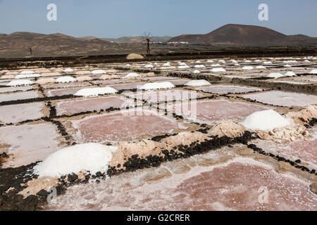 Pfannen, Salinas de Los Agujeros, Salz Los Cocoteros, Lanzarote, Kanarische Inseln, Spanien Stockfoto