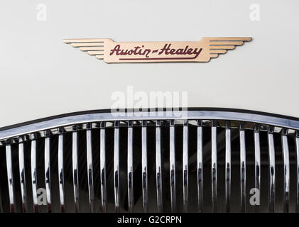 Austin-Healey-Emblem auf der Motorhaube des klassischen Oldtimer Rallye, Abergavenny, Wales, UK Stockfoto