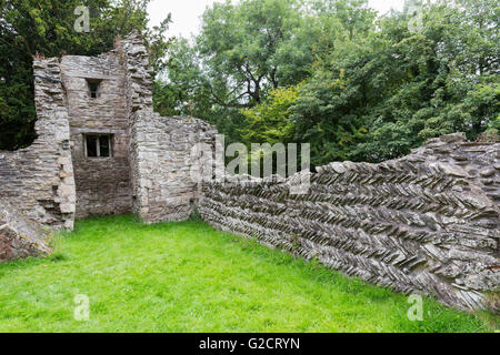 Edvin Loach alte Kirche Ruine mit Fischgrätmuster Mauerwerk Norman datiert, Herefordshire, England, UK Stockfoto