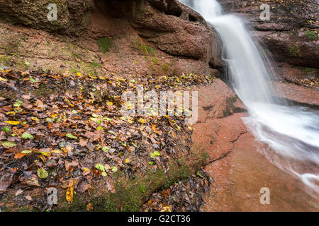 Nasses Herbstlaub und Wasserfall, Pwll y Wrach Nature Reserve, Talgarth, Wales, UK Stockfoto