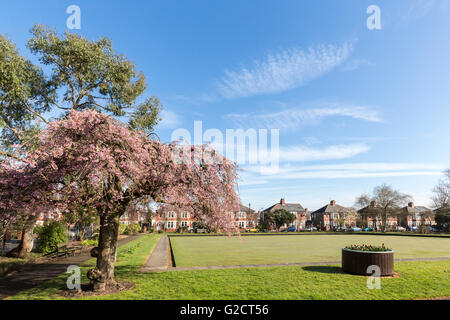 Öffentlicher Park und Schüsseln grün, Cardiff, Wales, UK Stockfoto