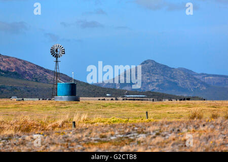 Wasser Windmühle und Tank in Landschaft, Esperance Western Australia Stockfoto