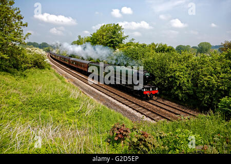 Sherrington, Wiltshire, UK. 28. Mai 2016. A3-Klasse 60103 Flying Scotsman dampft durch die Wiltshire Landschaft an einem schönen sonnigen Morgen mit dem Kathedralen-Express geht es in Richtung Salisbury Credit: Andrew Harker/Alamy Live News Stockfoto