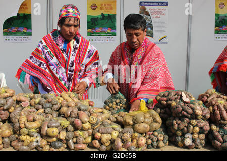 Lima, Peru. 27. Mai 2016. Mitmachen in der VII Festival der einheimischen Kartoffel in Lima, Hauptstadt von Peru, am 27. Mai 2016. © Luis Camacho/Xinhua/Alamy Live-Nachrichten Stockfoto