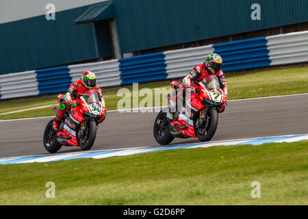 Donington Park, UK. 28. Mai 2016. #7 Chaz Davies führt das Rennen vor seinem Team mate Davide Giugliano, bevor er Credit stürzte: Steven Reh/Alamy Live News Stockfoto