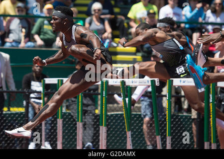 Eugene, USA. 28. Mai 2016. Omar Mcleod(1st, L) of Jamaica konkurriert während die Männer 110 m Hürden Finale im 2016 IAAF Diamond League in Eugene, den Vereinigten Staaten, am 28. Mai 2016. Omar Mcleod holte sich den Titel mit 13,06 Sekunden. © Yang Lei/Xinhua/Alamy Live-Nachrichten Stockfoto