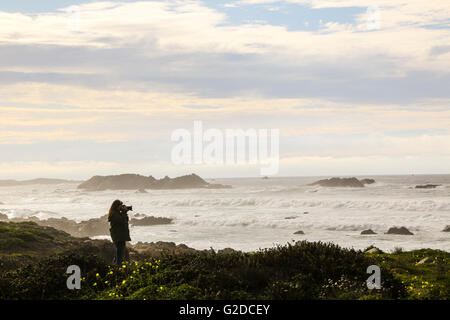 Frau, die das Fotografieren von Strand, Carmel, Kalifornien, USA Stockfoto