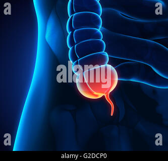 Anhang-Schmerz-Illustration Stockfoto
