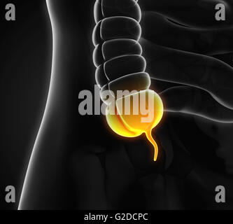 Anhang-Schmerz-Illustration Stockfoto