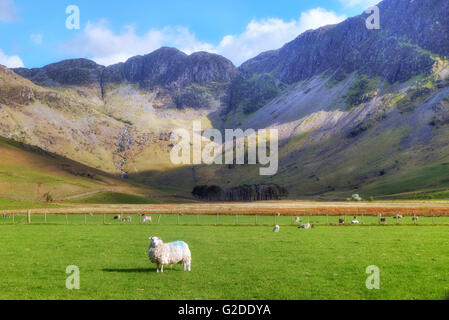 Buttermere, Lake District, Cumbria, England, UK Stockfoto