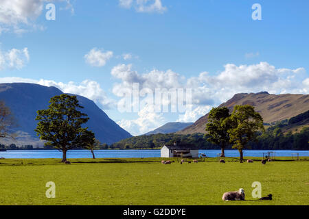 Buttermere, Lake District, Cumbria, England, UK Stockfoto