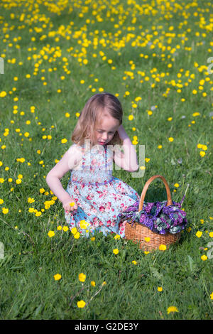 ein 3-jähriges Mädchen pflückt gelbe Blüten in einem Korb Stockfoto