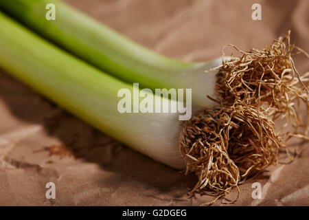 ganze, frische Lauch Stockfoto