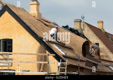 Thatchers bei Arbeiten am neuen Dach im historischen Dorf von Dragor in Süd-Dänemark Stockfoto