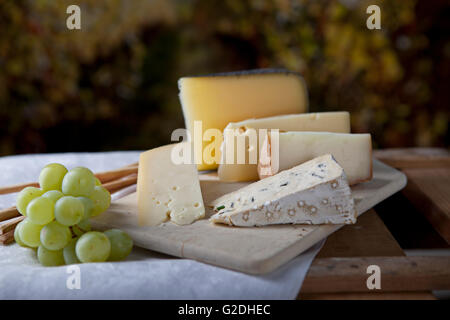 Drei Arten von französischem Käse und weißen Trauben Stockfoto