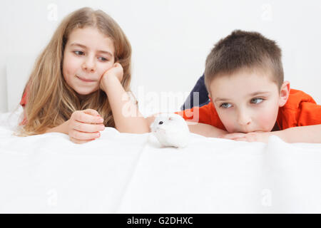 Kinder spielen mit weißen sibirischen Hamster im Bett Stockfoto