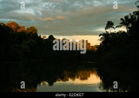 Yavari Fluss. Matses reservieren. Amazonas, Peru Stockfoto