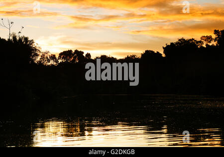 Yavari Fluss. Matses reservieren. Amazonas, Peru Stockfoto