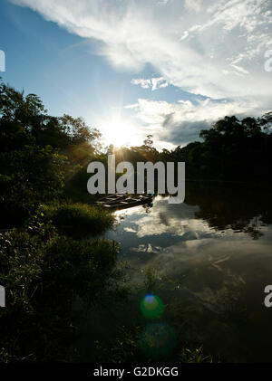 Remoyacu. Matses reservieren. Amazon. Peru Stockfoto