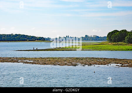 Bei Ebbe vom Dell Quay mit Blick auf Chichester Marina. Menschen Diiggiing Köder. Stockfoto