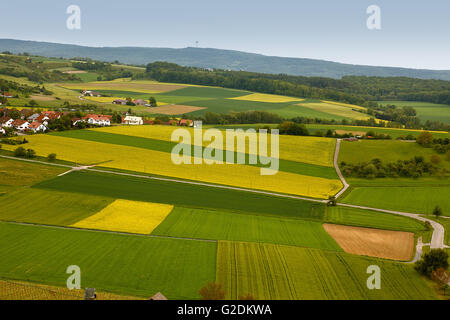 Weinberge im Südwesten Deutschlands Stockfoto