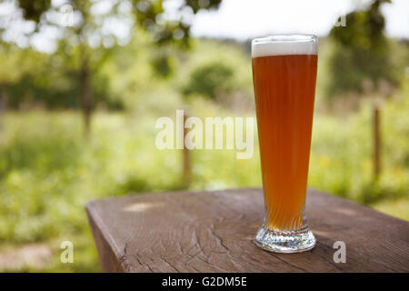 Volles Glas frisch gezapften Weizen Bier serviert in einer rustikalen Biergarten in Deutschland Stockfoto