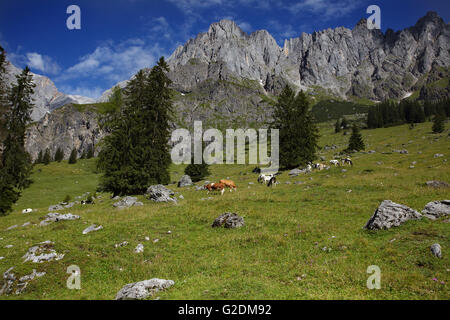 Landschaft der Umgebung in den österreichischen Alpen in der Nähe von Mühlbach Hochkönig Berg Stockfoto