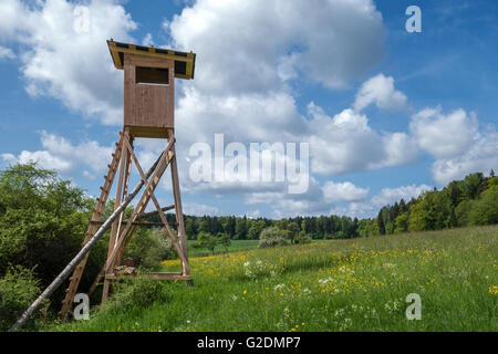 Deerstand auf einer Wiese im Frühling Stockfoto